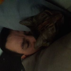 Meet your Posher, Tammy